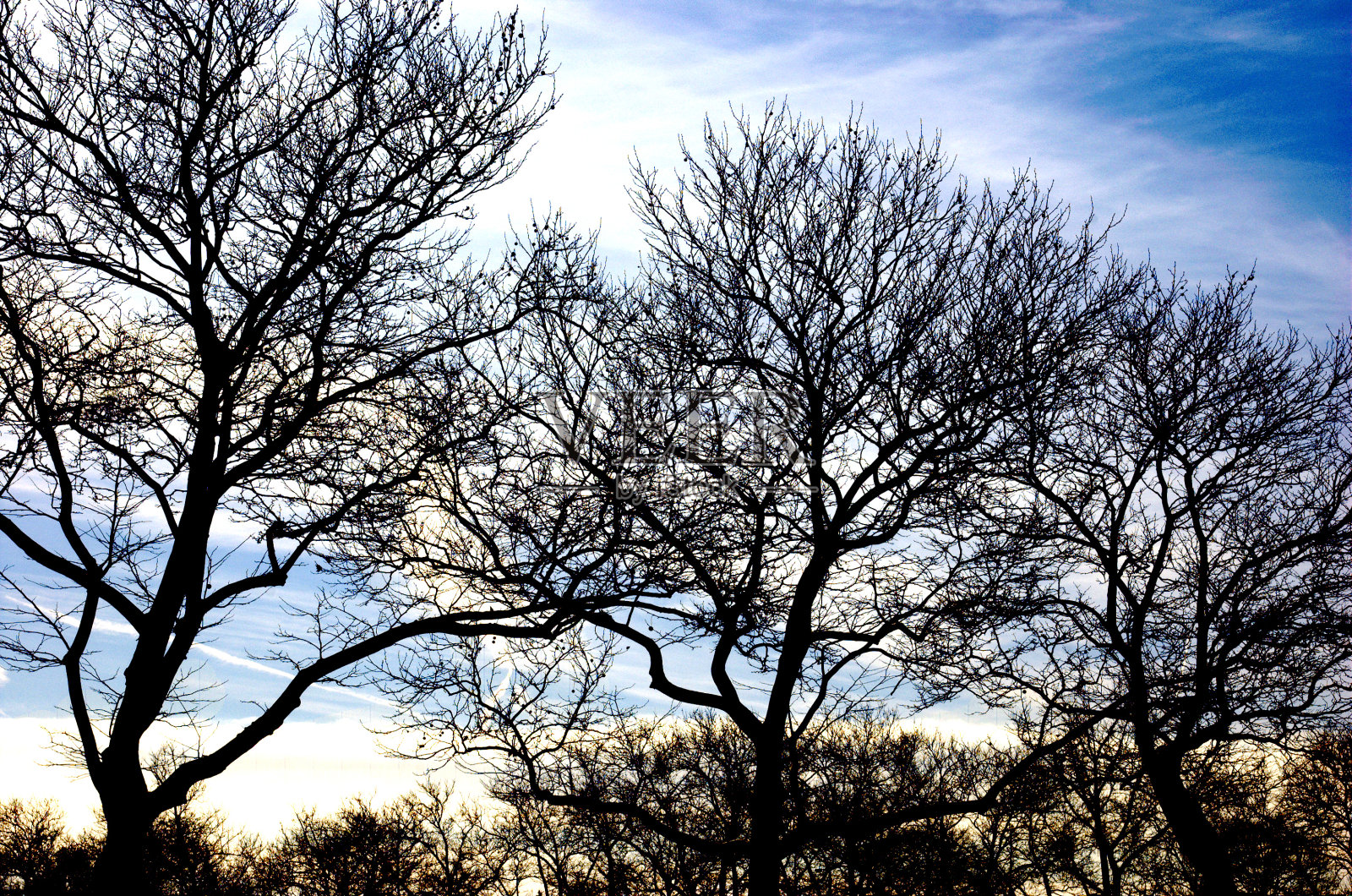 冬天的场景照片摄影图片