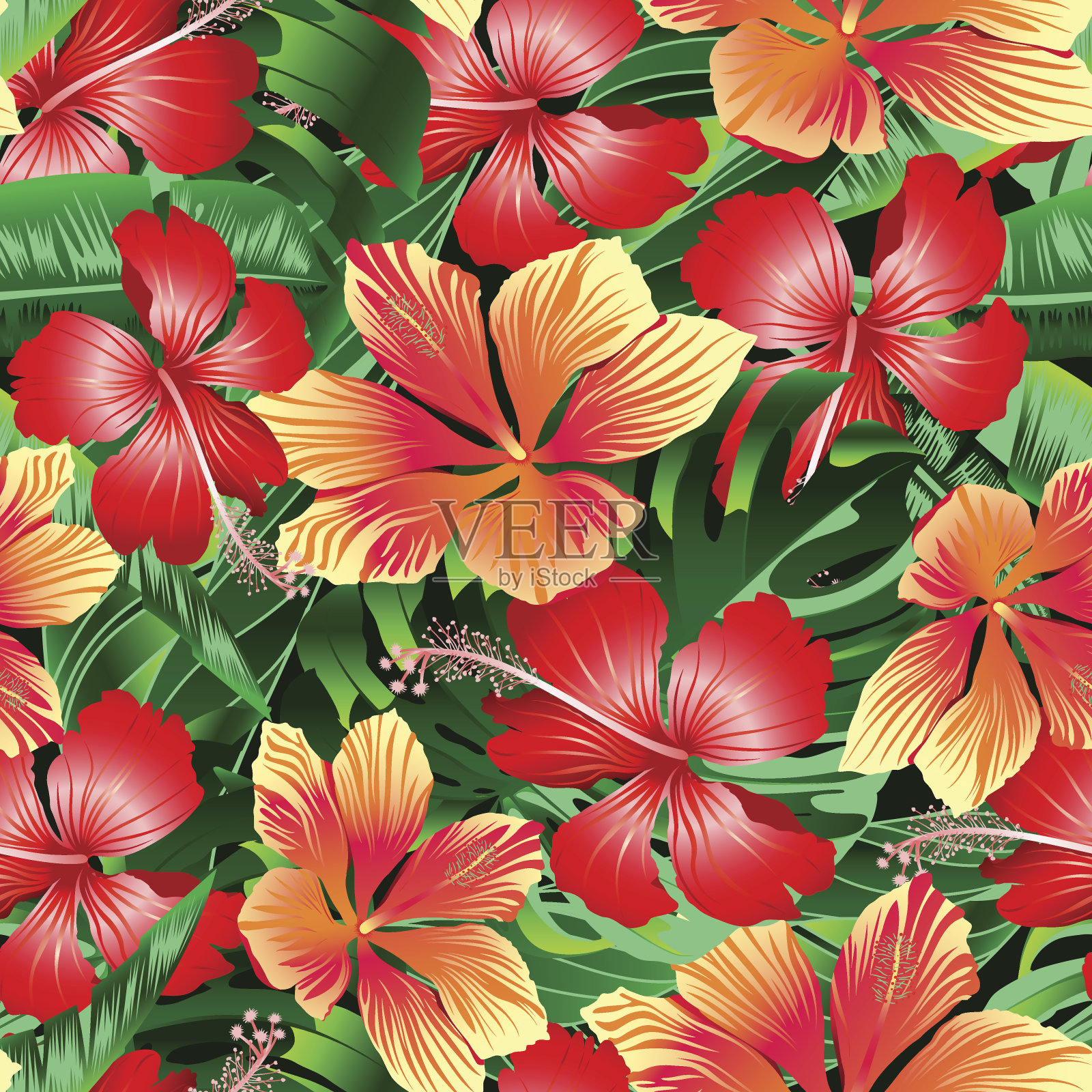 热带橙色和红色的杂色木槿花无缝拍打插画图片素材