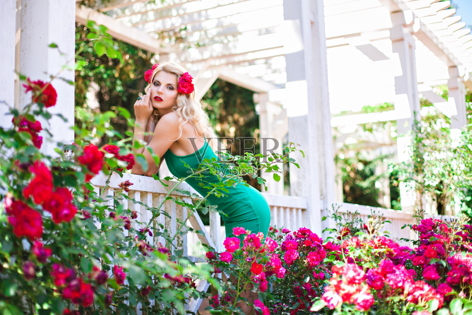 玫瑰花园里的金发女郎照片摄影图片