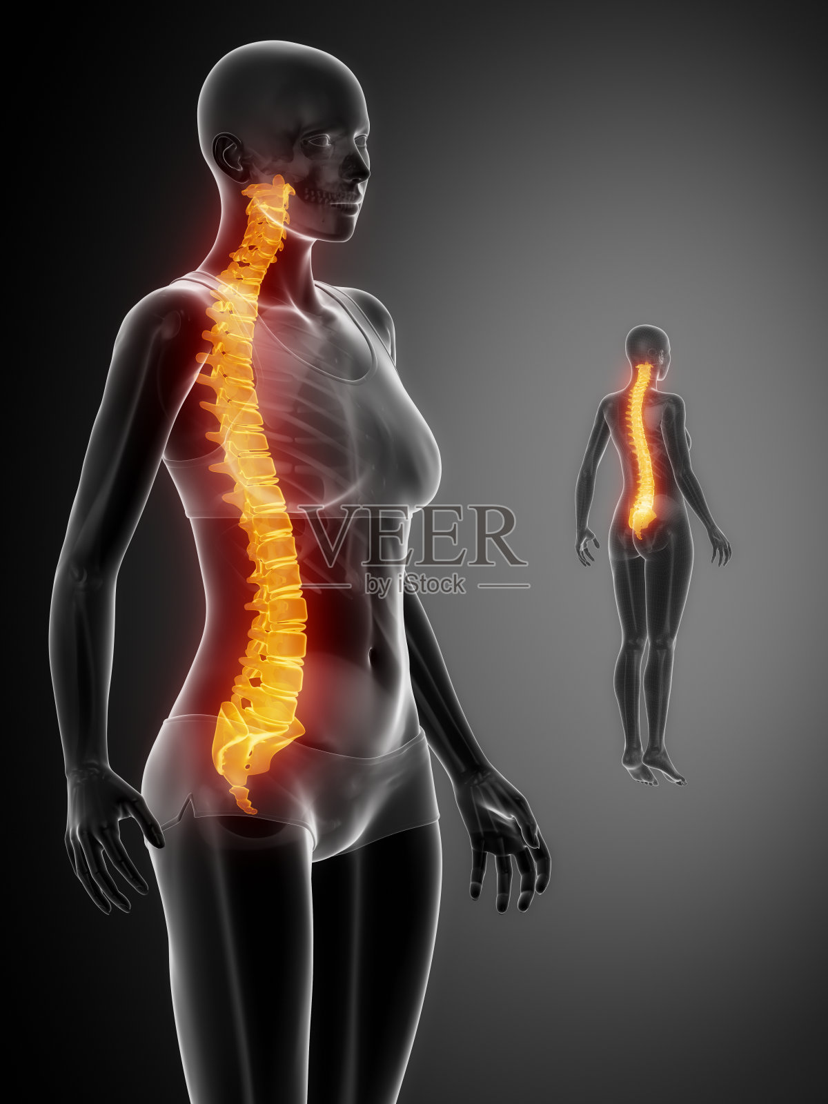 脊柱黑色x线骨扫描照片摄影图片