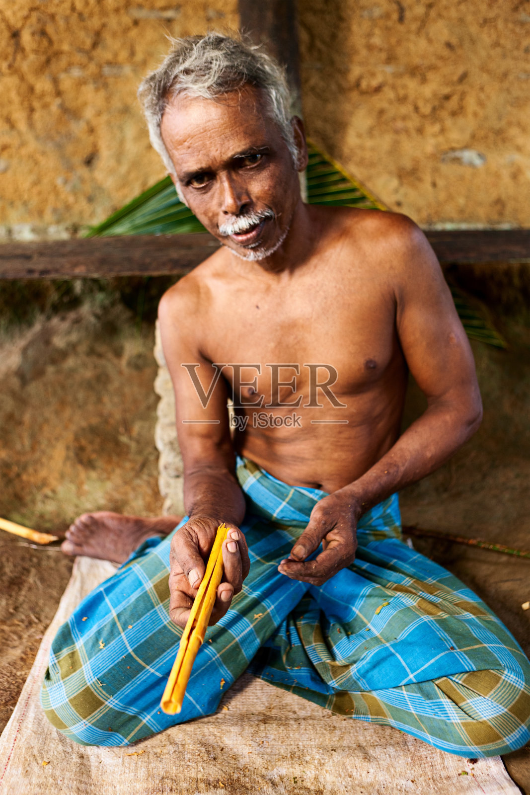 斯里兰卡男子准备肉桂棒照片摄影图片
