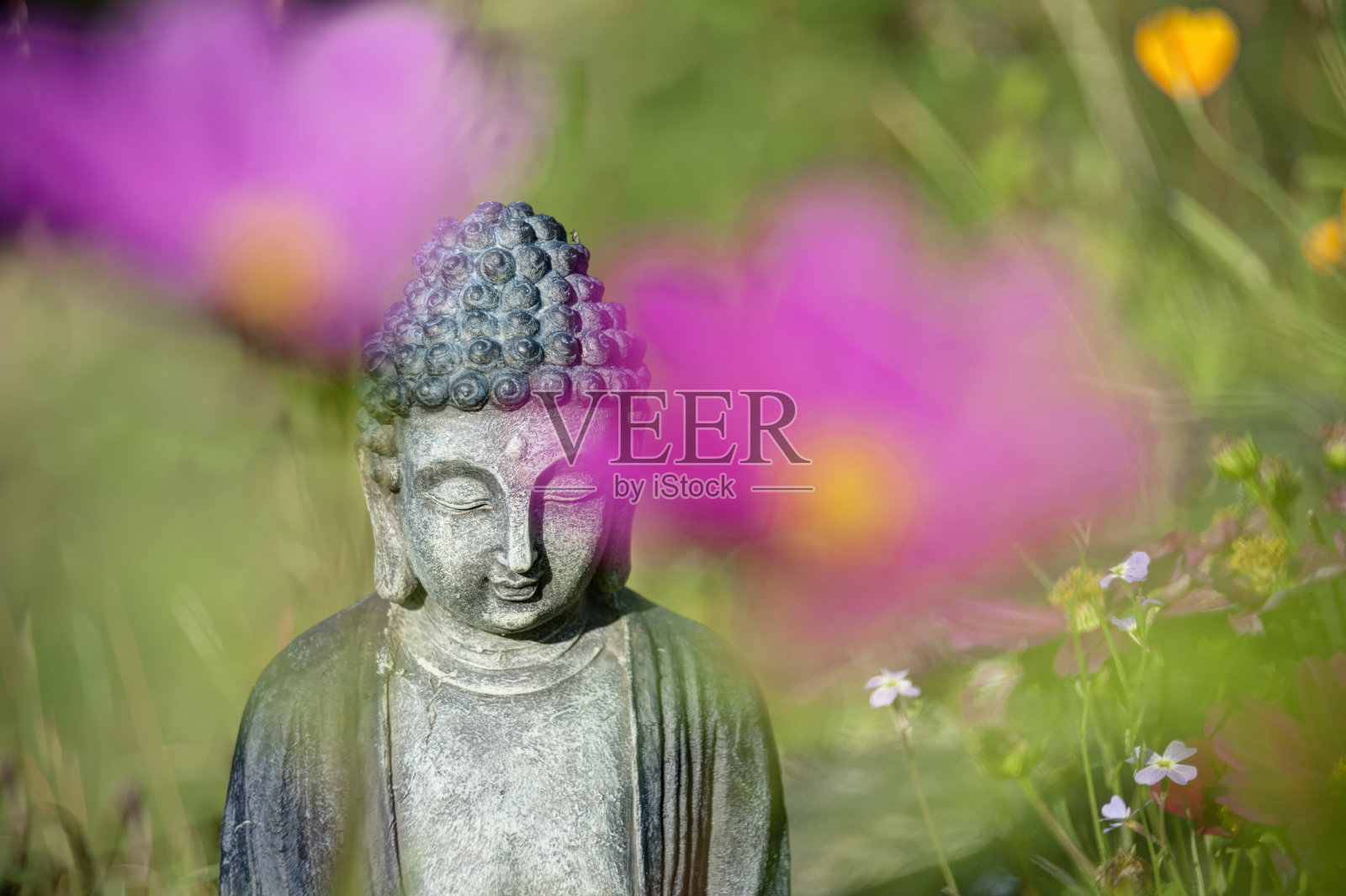 花园佛照片摄影图片