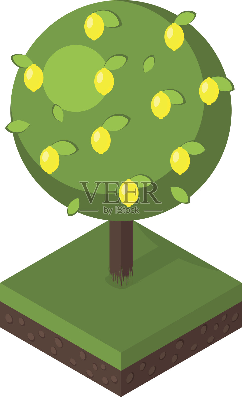 等距树矢量图。插画图片素材