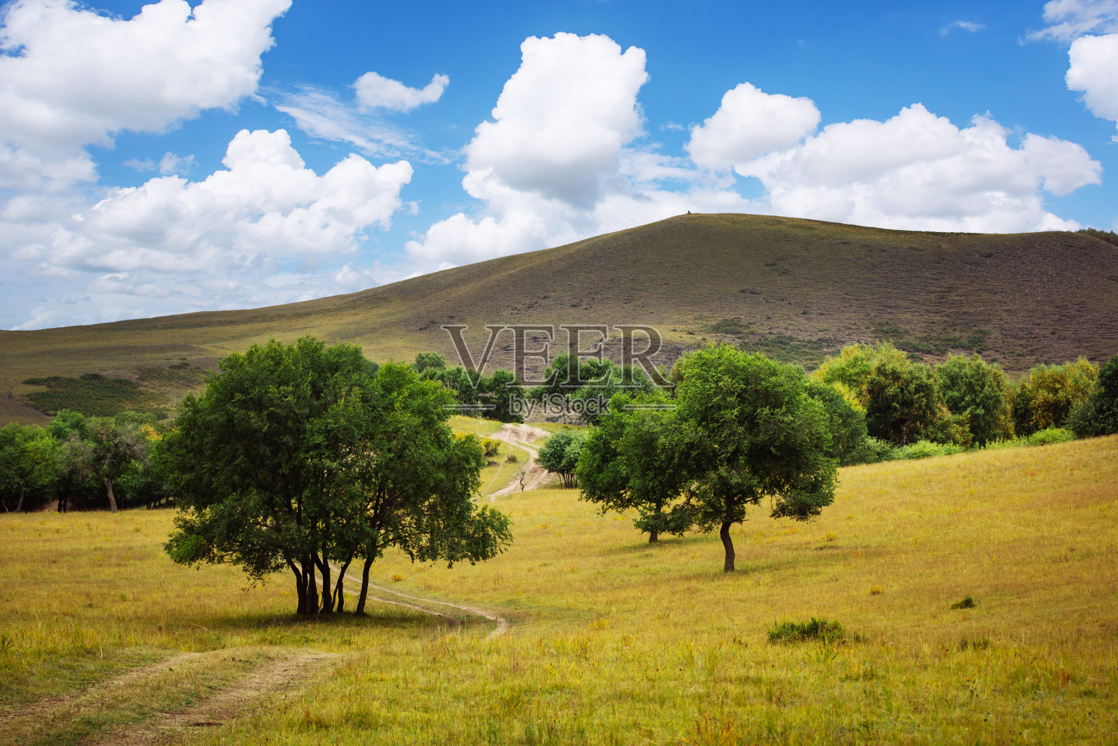 中国北方草原风光照片摄影图片