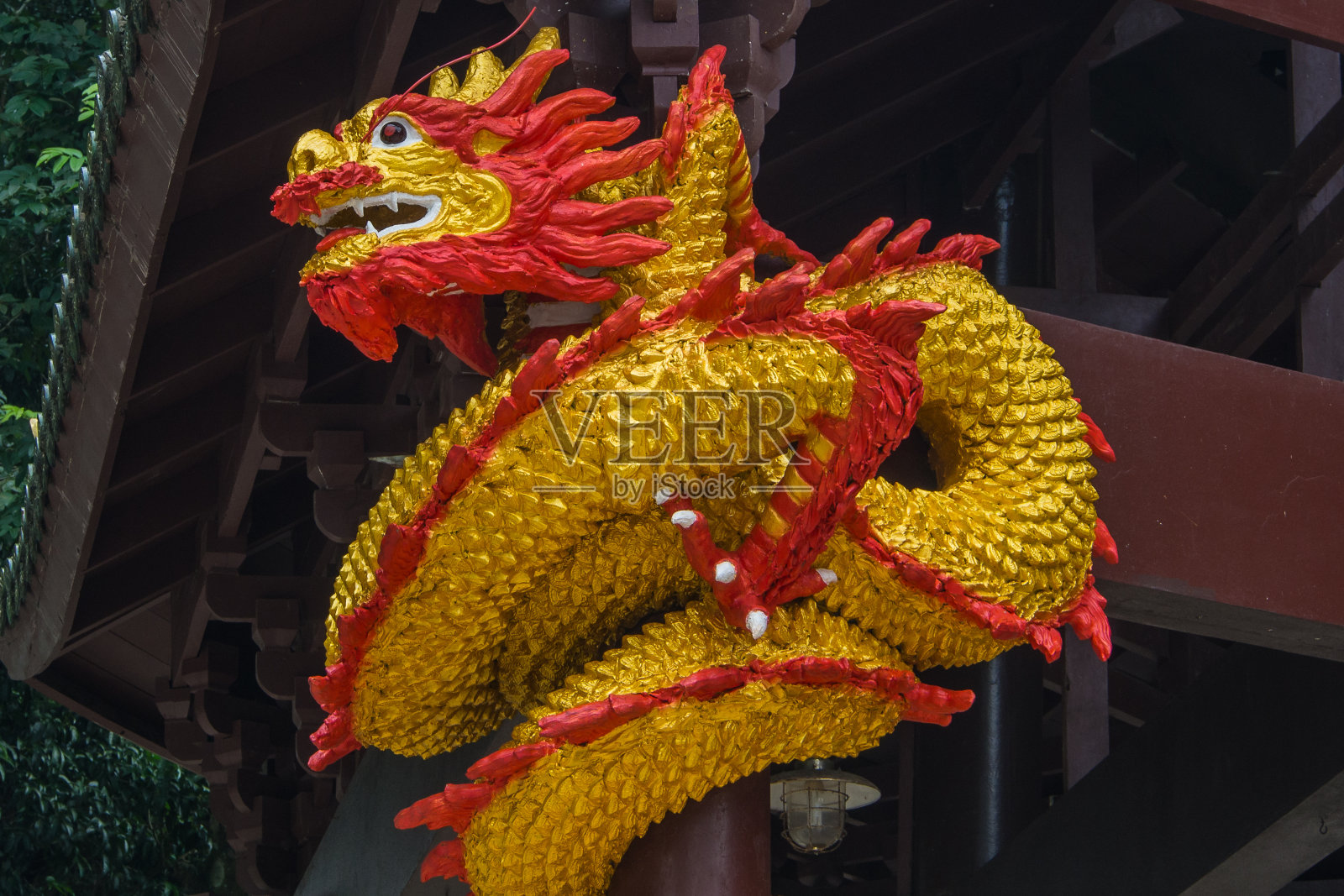 龙护照片摄影图片