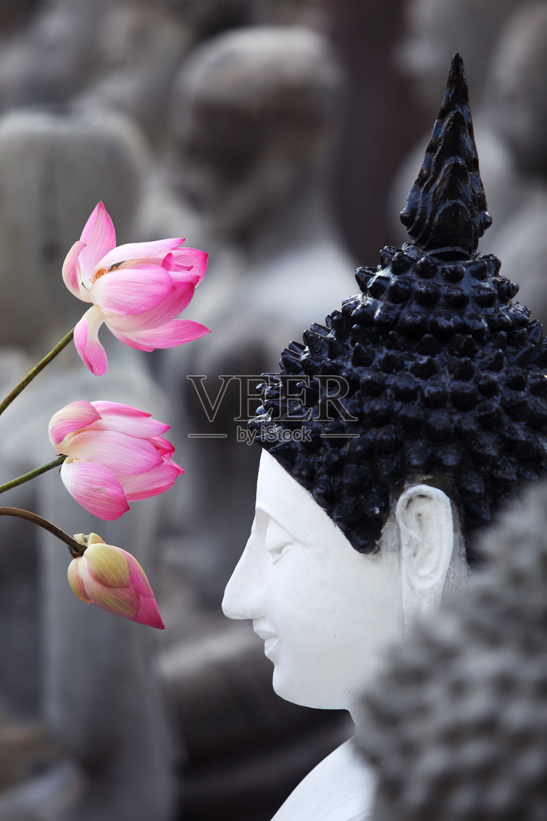 荷花与佛像照片摄影图片