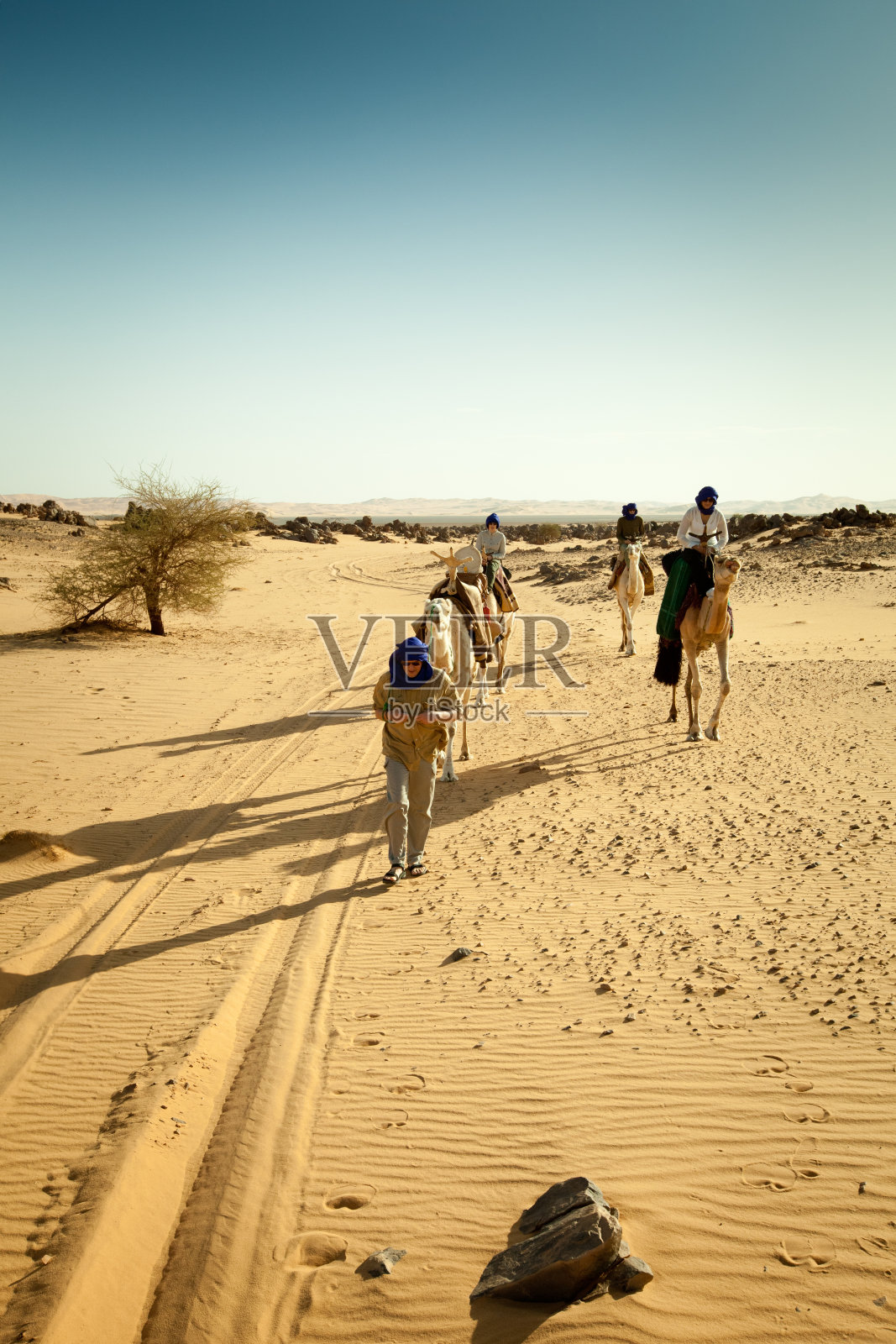 利比亚撒哈拉沙漠的骆驼商队照片摄影图片