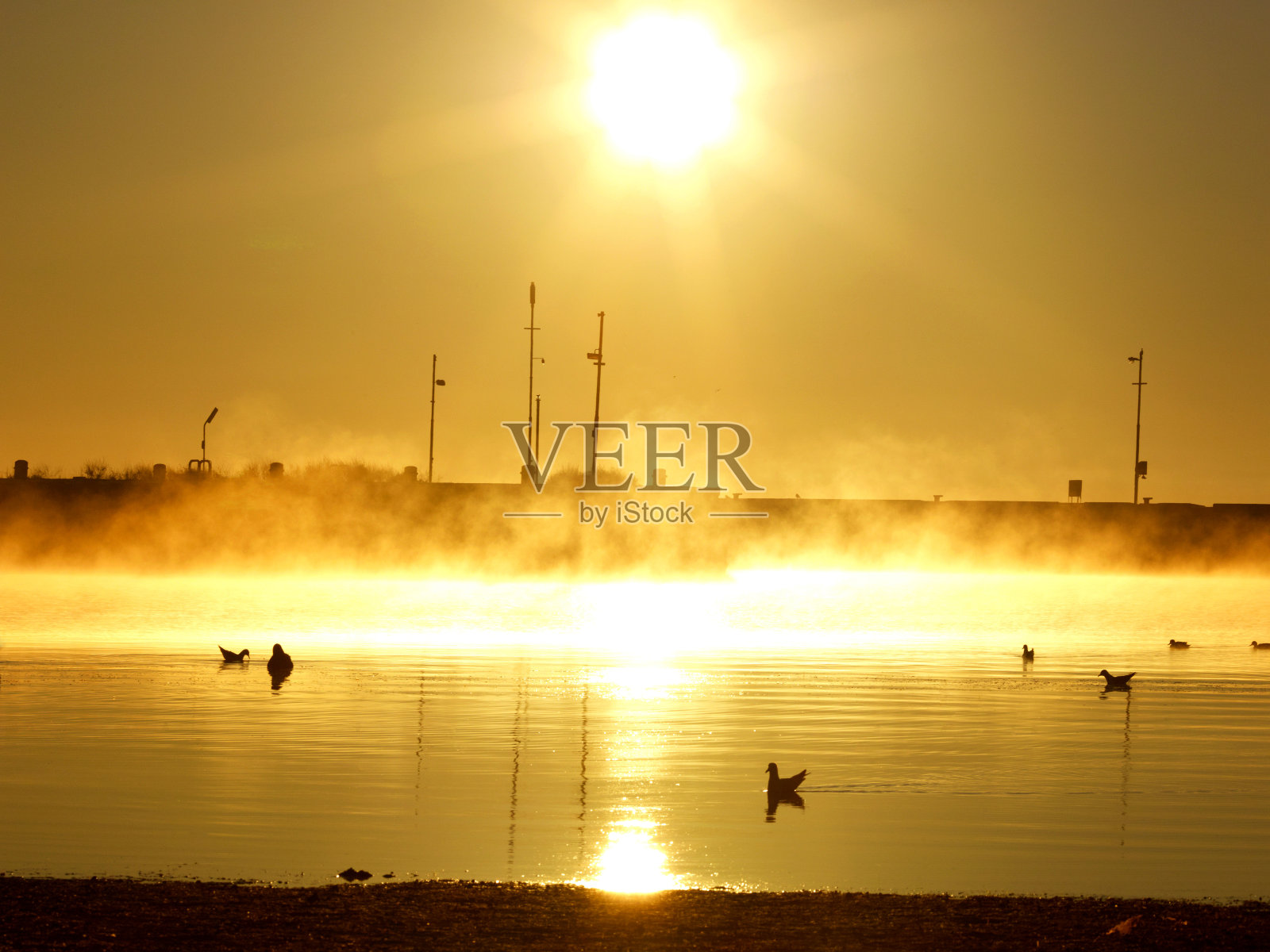 湿地的金色日出照片摄影图片