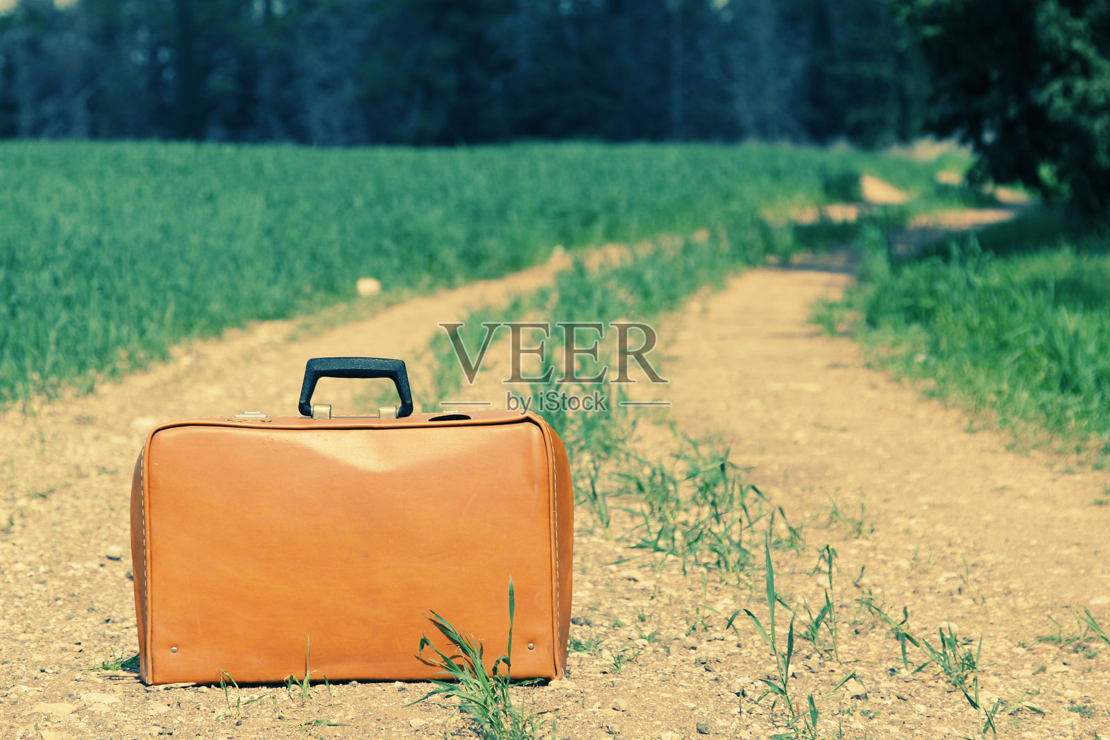 田野里的古董箱照片摄影图片