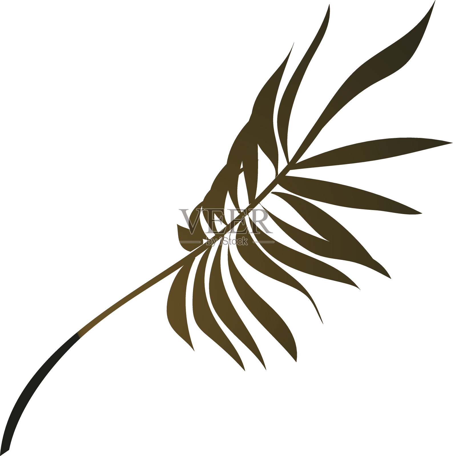 palm粉丝设计元素图片