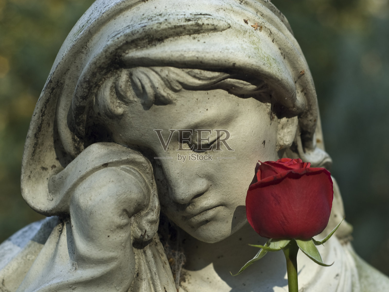 玫瑰雕塑照片摄影图片