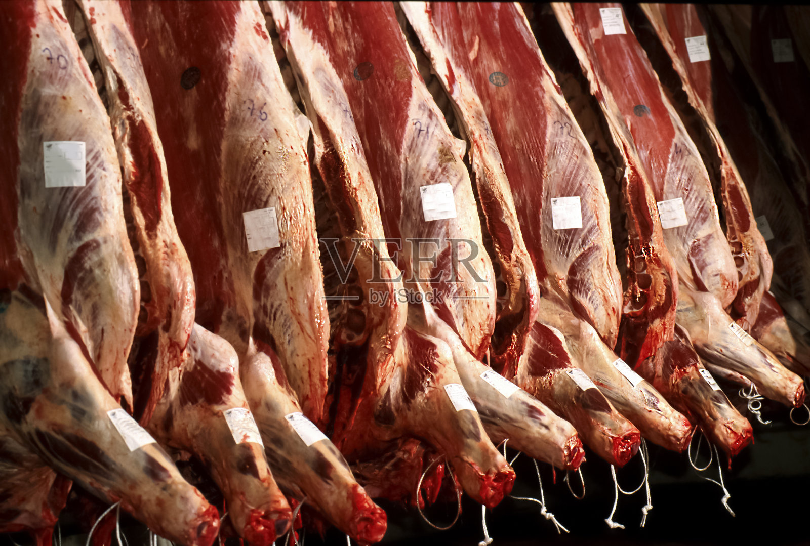 牛肉屠宰照片摄影图片