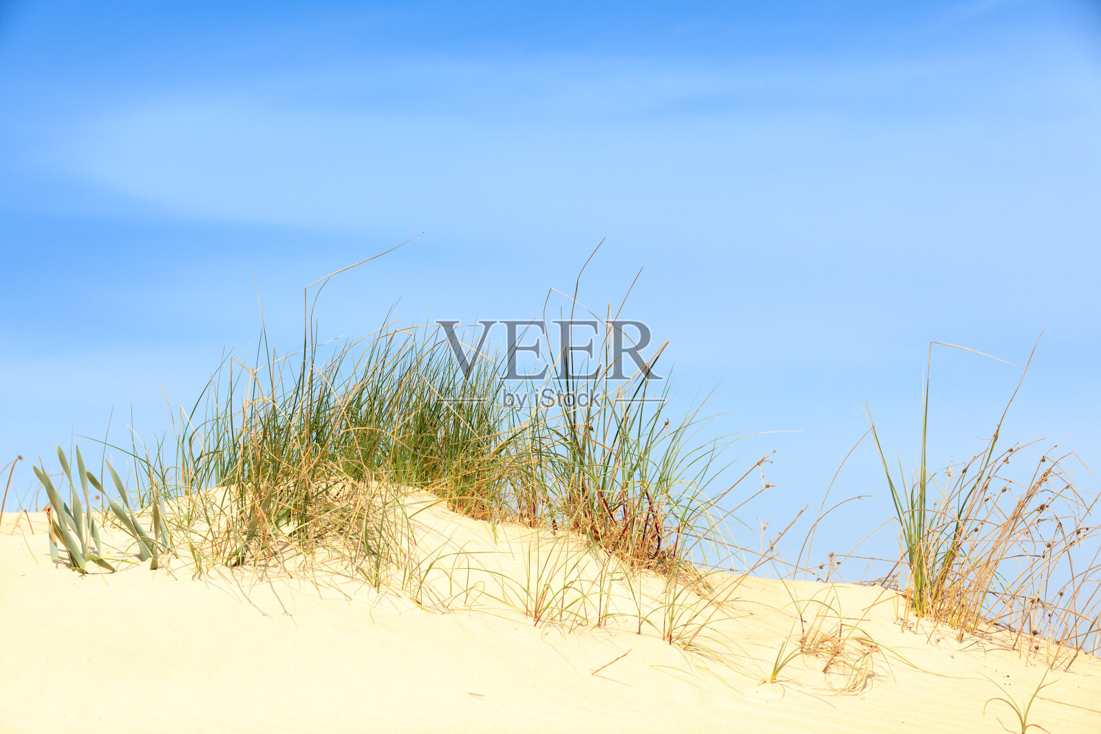 沙丘上方深蓝色的天空照片摄影图片