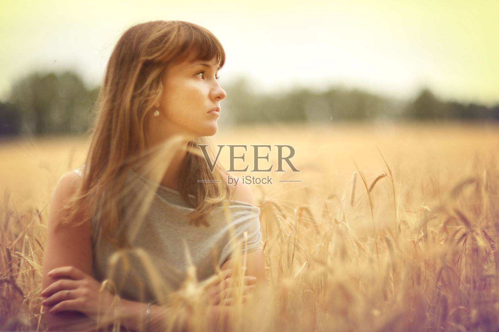 麦田里一个女孩的画像照片摄影图片