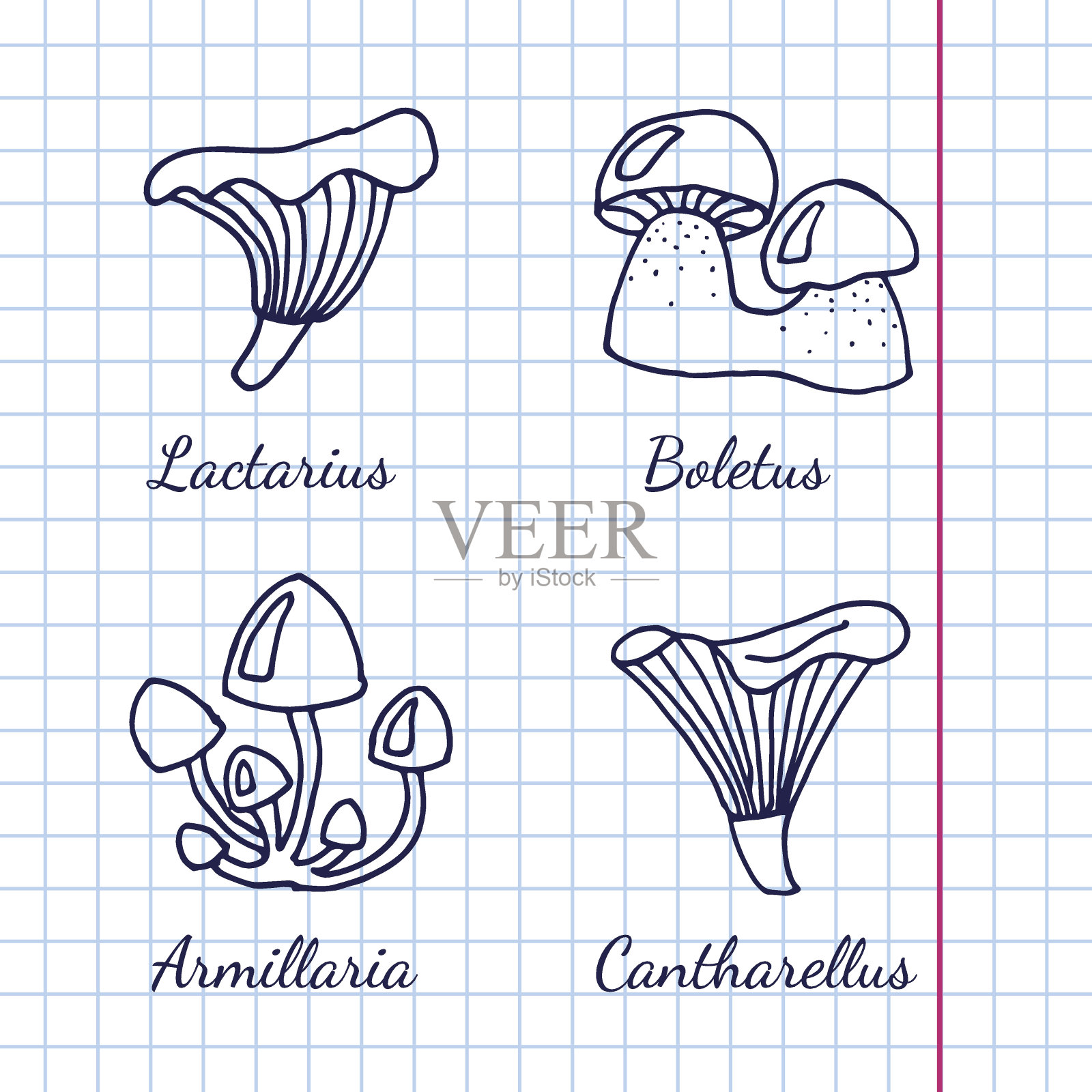 不同种类的蘑菇设计元素图片