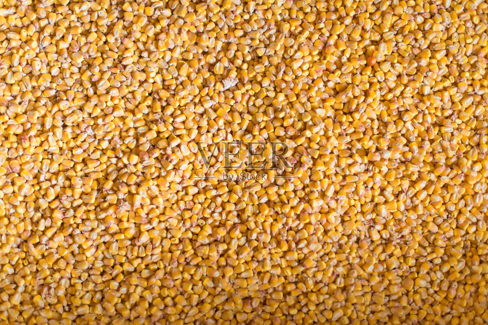 乾玉米粒的近景。照片摄影图片