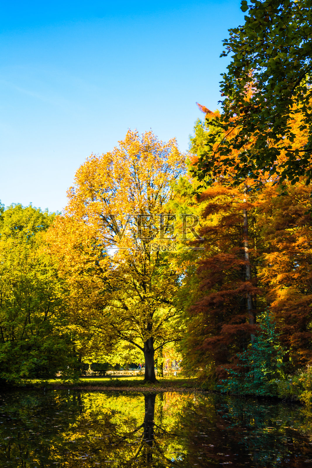 秋天的风景。照片摄影图片