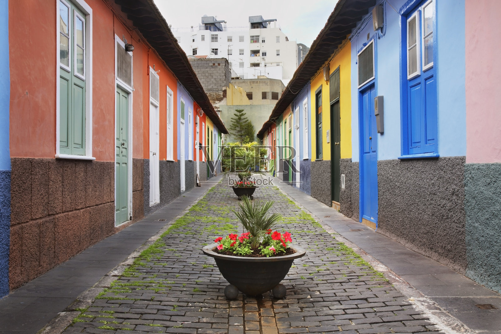 圣克鲁斯德特内里费的庭院。加那利群岛。西班牙照片摄影图片