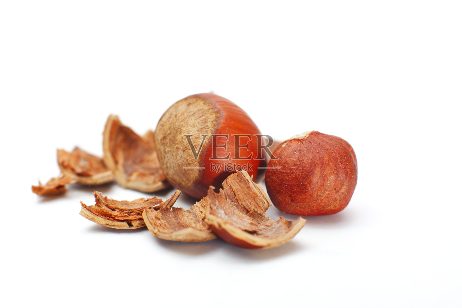 在白色背景上孤立的榛子照片摄影图片