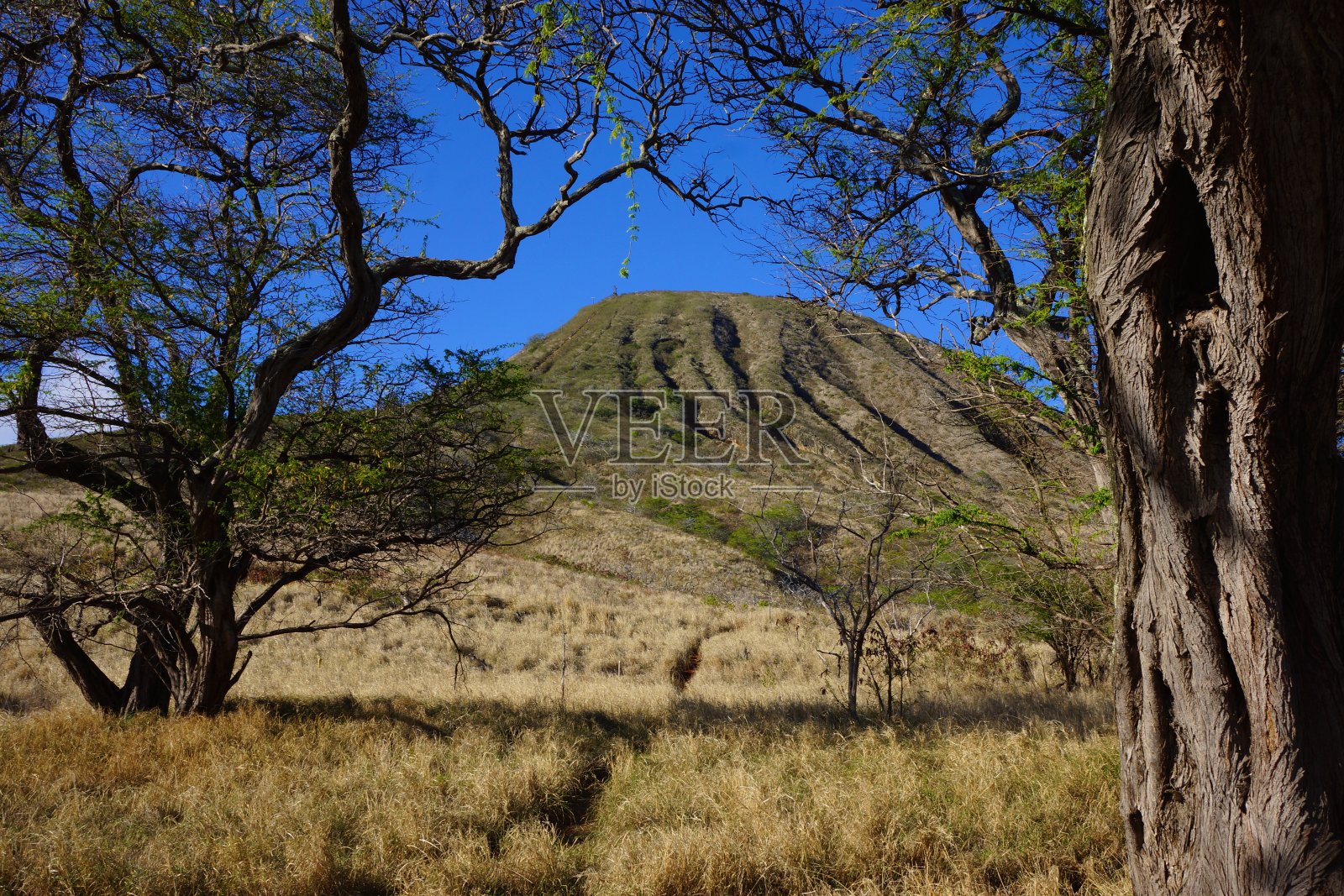 科科岬火山口照片摄影图片