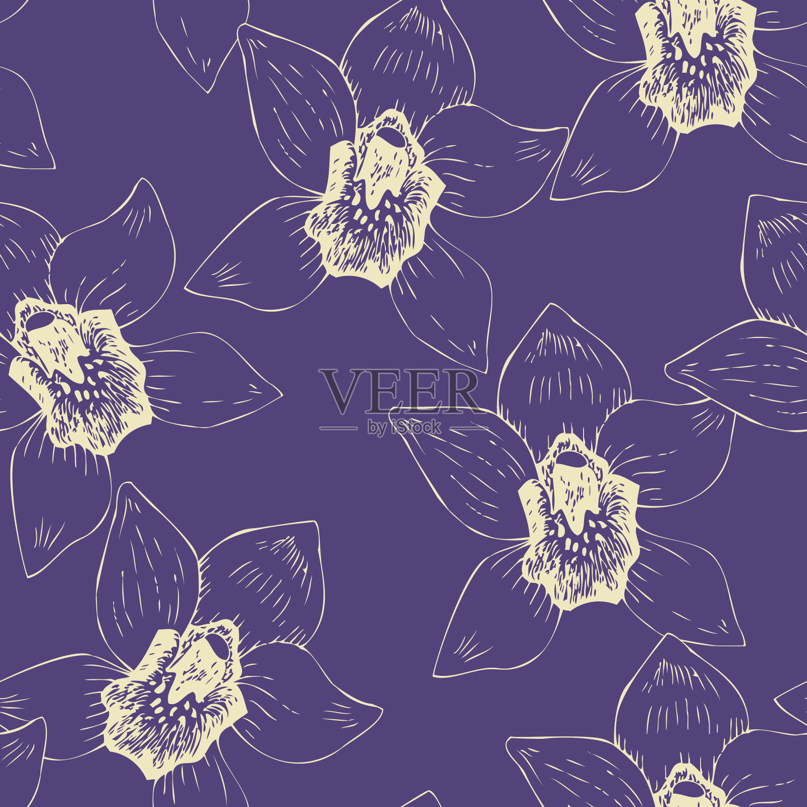 无缝图案与线描兰花插画图片素材