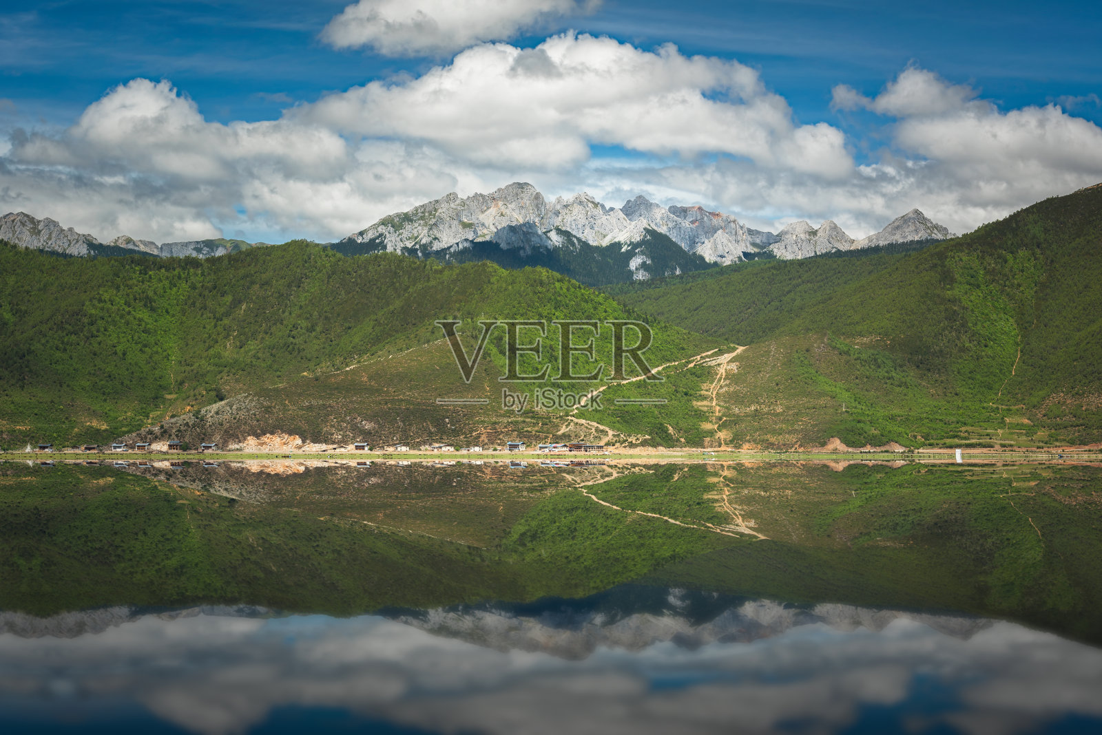 季节性湖泊覆盖着绿色的草和黄色的干草照片摄影图片