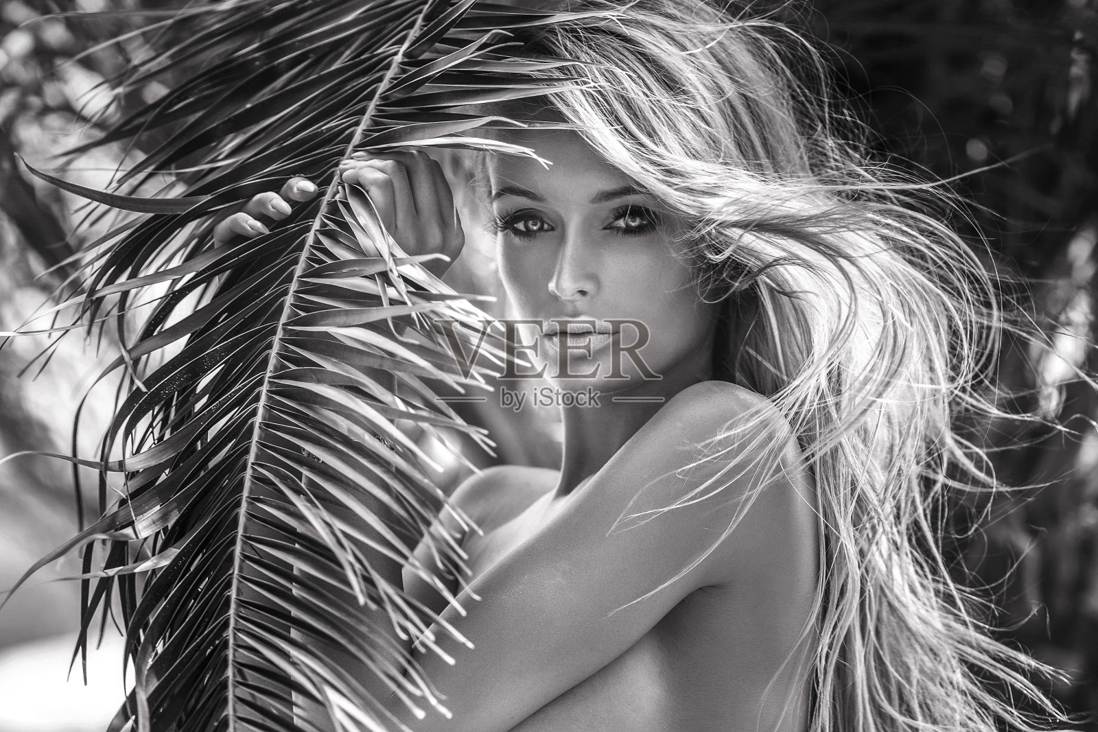 特写美女肖像的金发女士。照片摄影图片