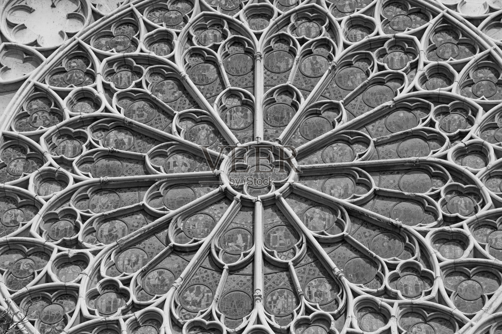 玫瑰窗，巴黎圣母院大教堂，法国照片摄影图片