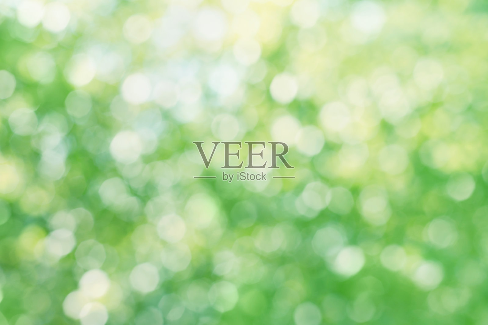 抽象树叶枝叶树自然模糊背景，散景纹理照片摄影图片