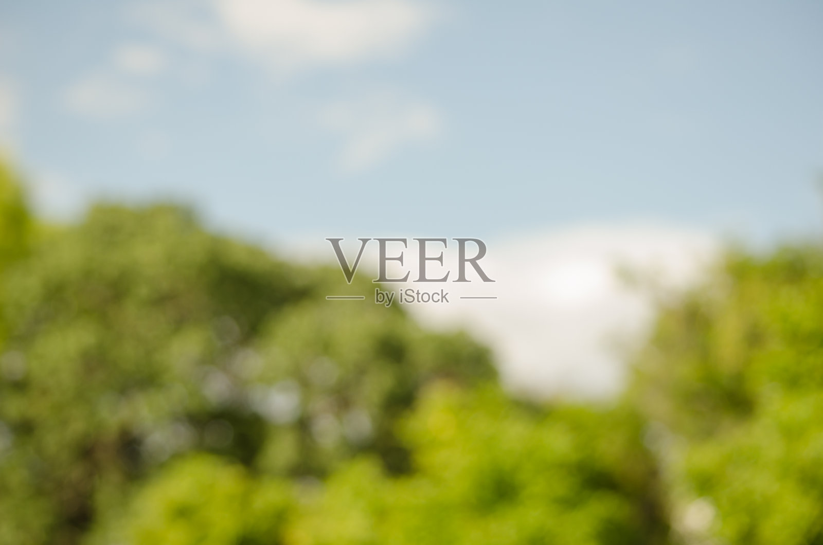 文摘性质模糊照片摄影图片