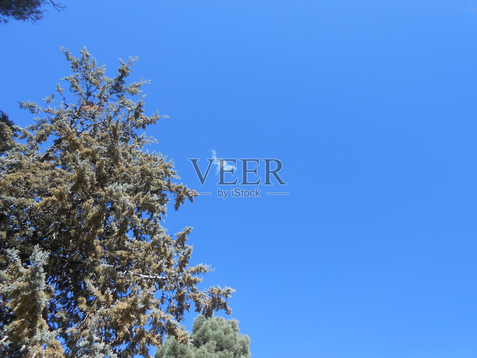 小的云照片摄影图片