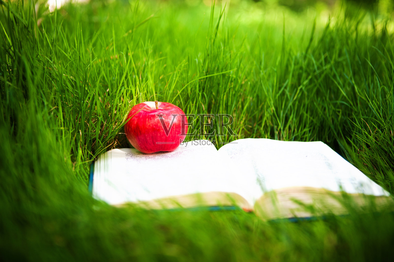 苹果在打开的书照片摄影图片