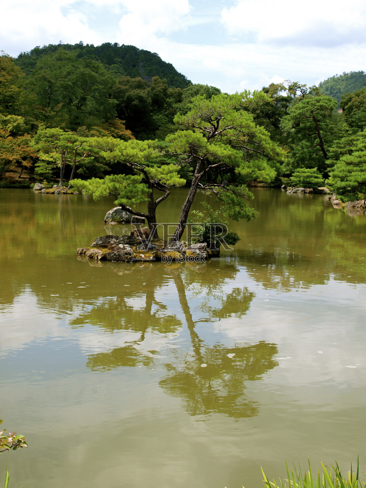 日式花园照片摄影图片