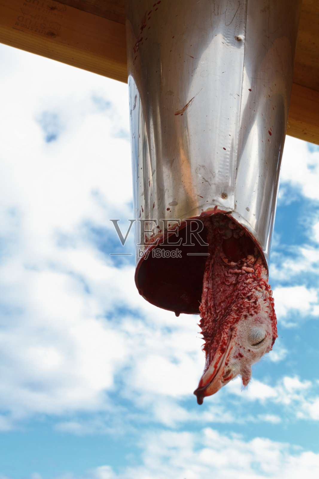 土耳其屠杀照片摄影图片