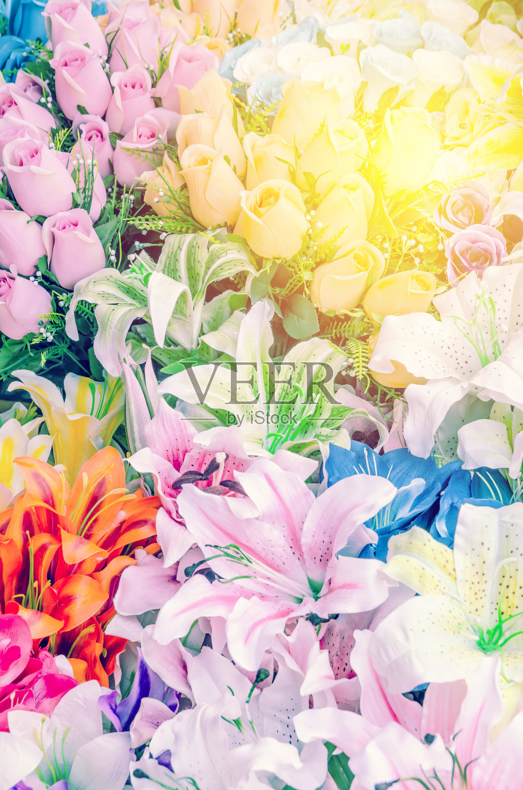 束花照片摄影图片