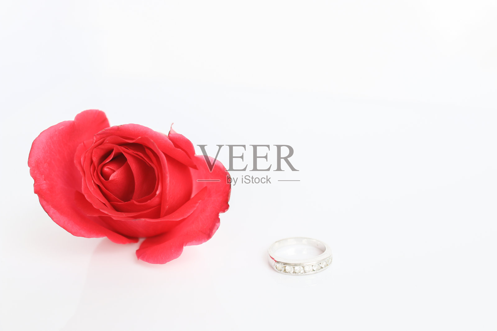 带戒指的红玫瑰照片摄影图片