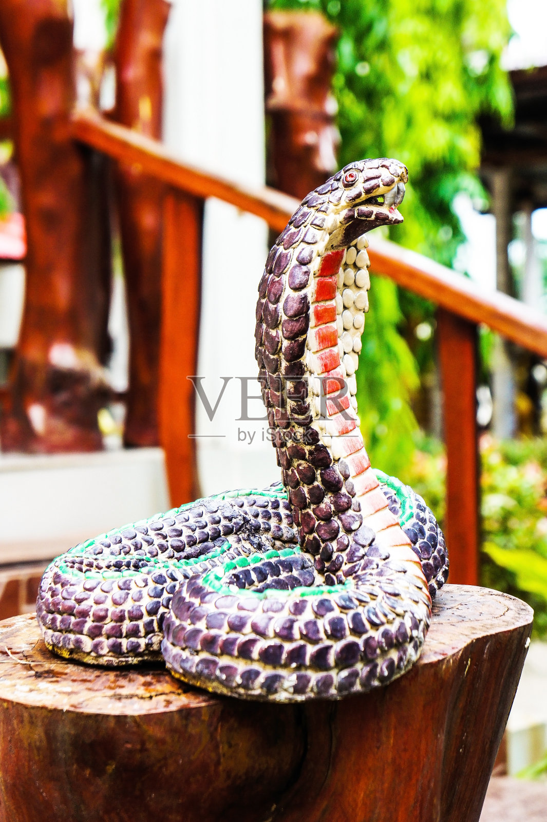 眼镜蛇雕像照片摄影图片