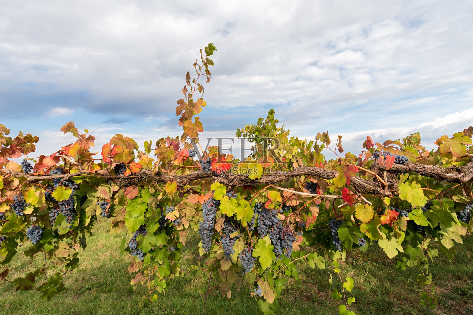 云朵的颜色照片摄影图片