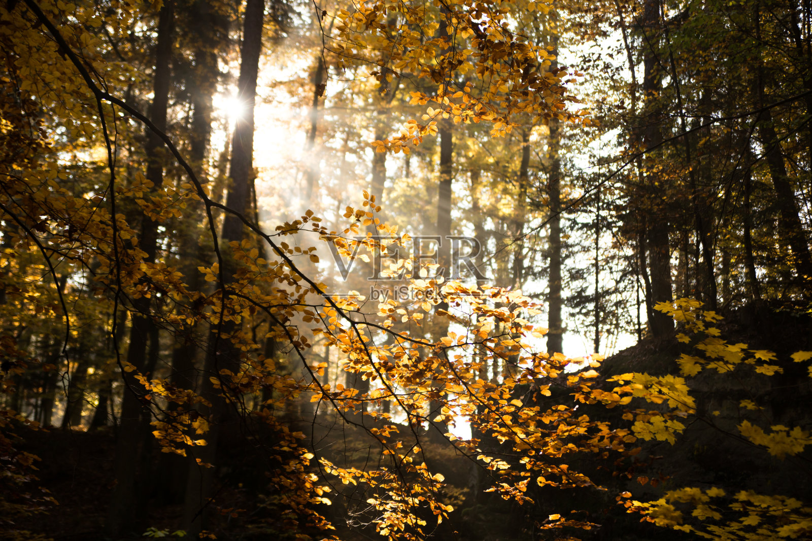 华德照片摄影图片