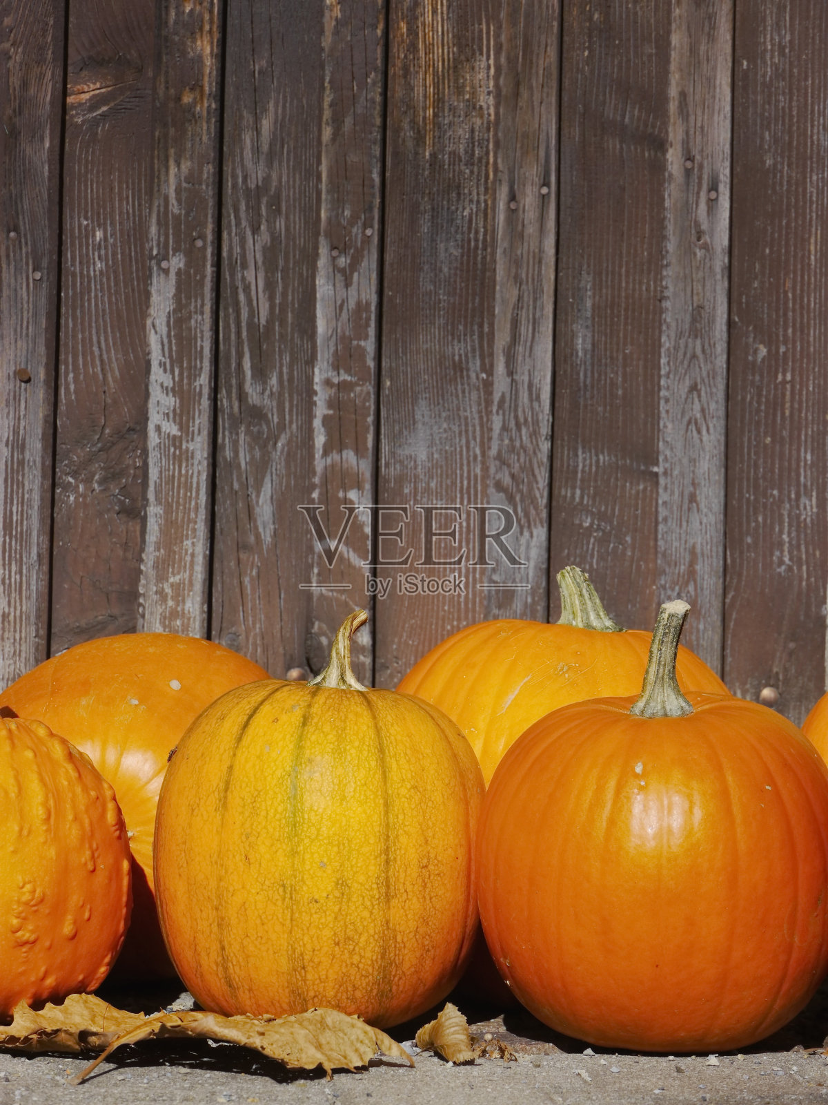 南瓜稻草照片摄影图片