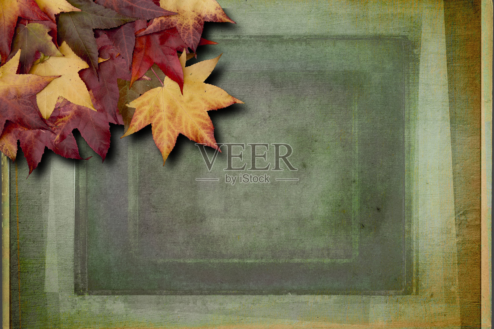 背景上的秋叶照片摄影图片