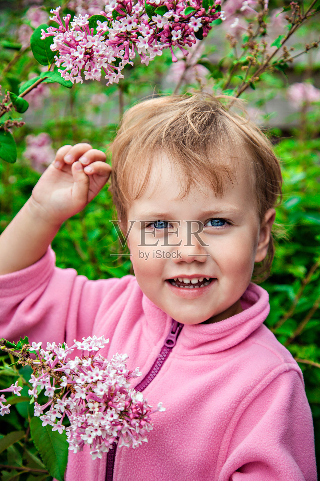 长着紫丁香的漂亮小女孩照片摄影图片