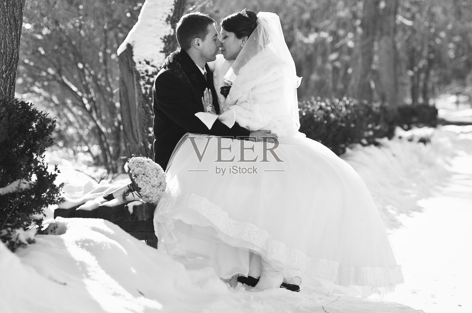 年轻的新婚夫妇在阳光明媚的冬日照片摄影图片