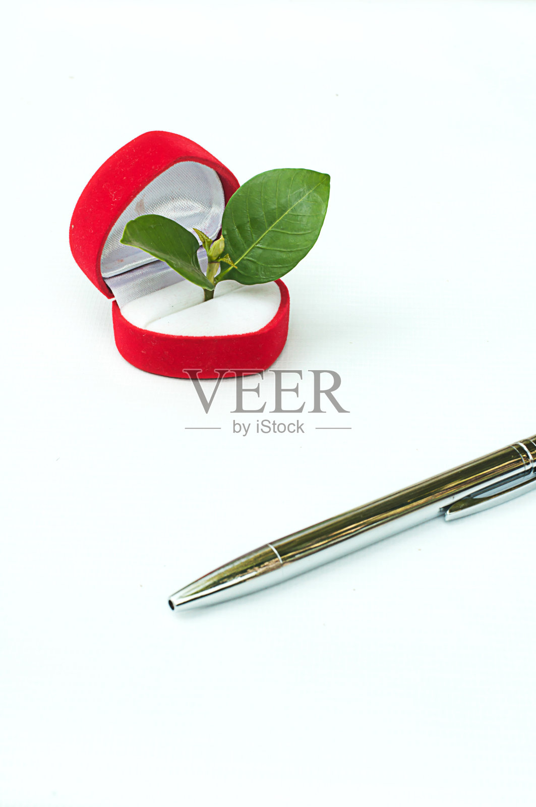 成长照片摄影图片