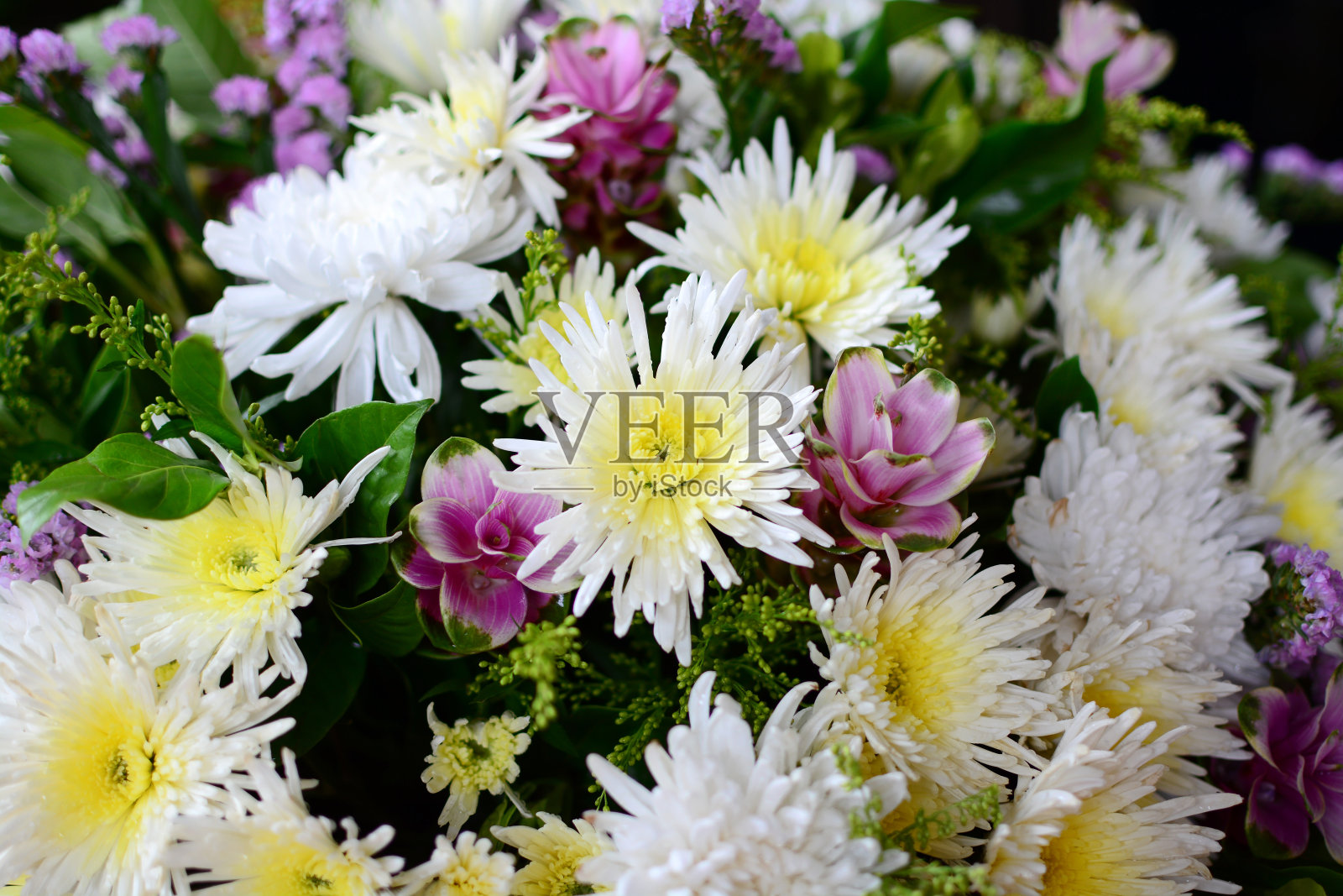 一束一束的花照片摄影图片