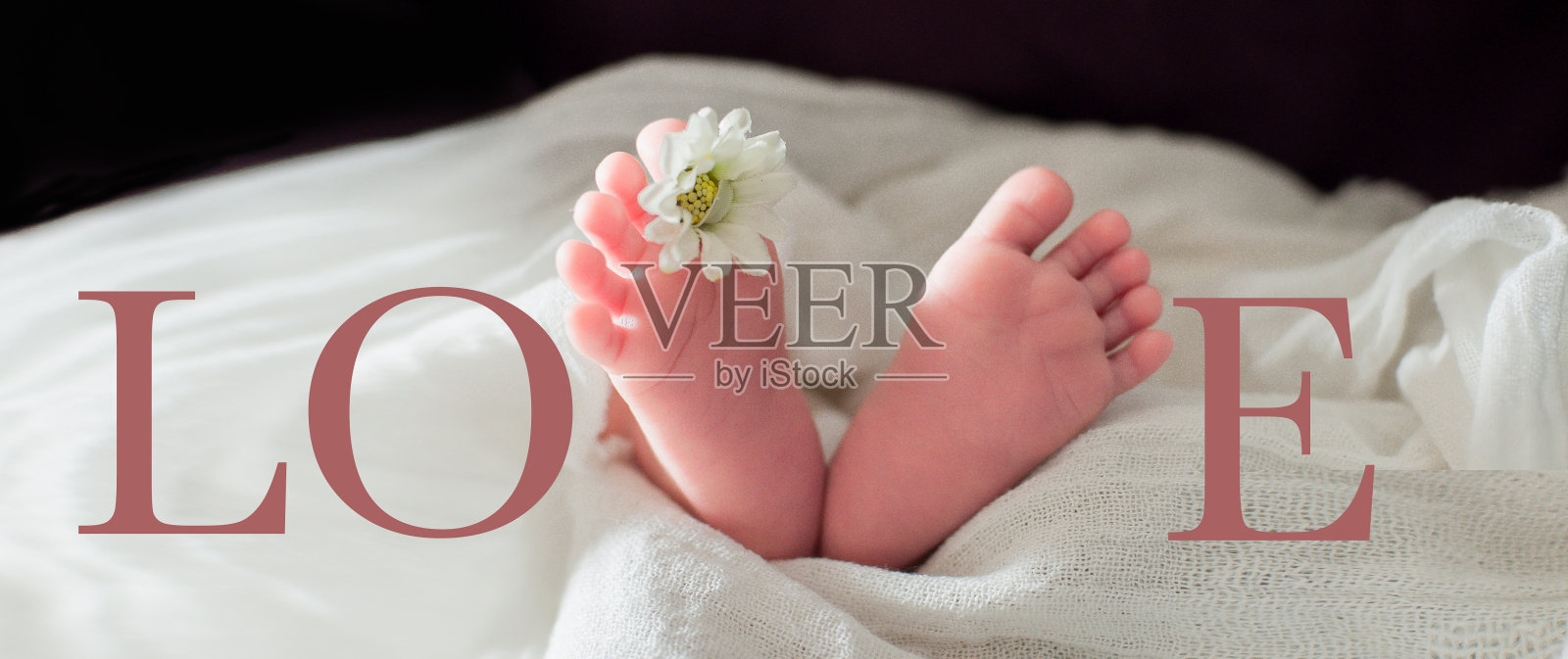 宝宝的脚照片摄影图片