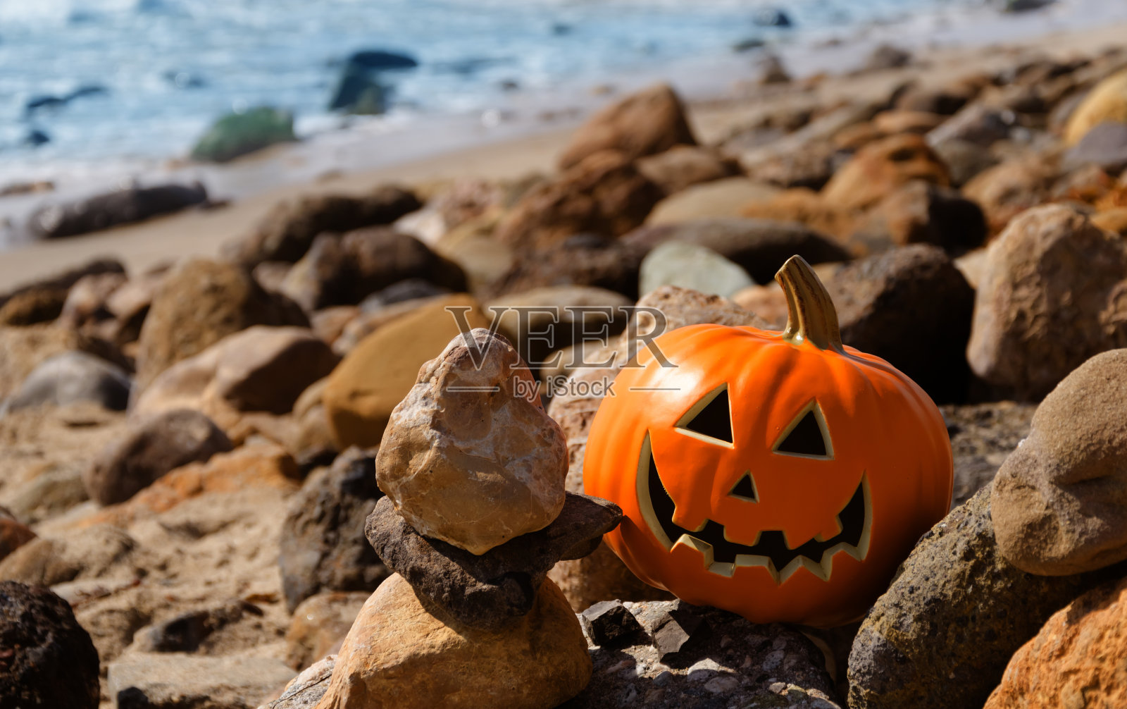 岩石海滩上的万圣节南瓜照片摄影图片