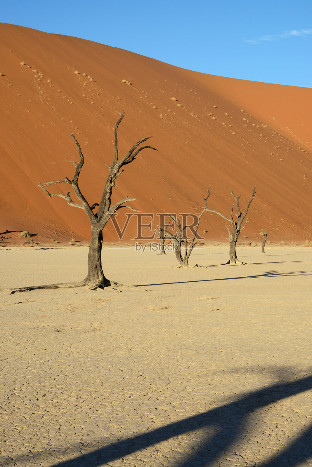 死弗莱， 索苏斯夫莱， 纳米比亚照片摄影图片