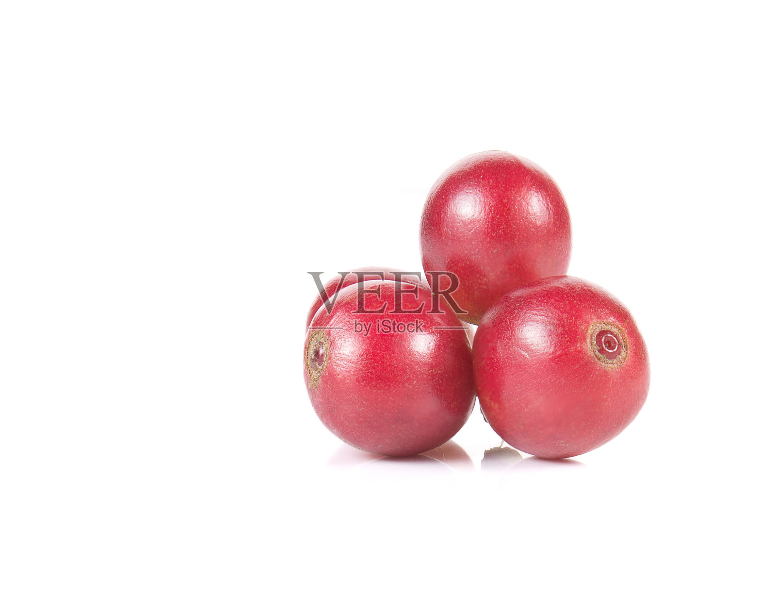 白色背景上的新鲜咖啡豆。照片摄影图片