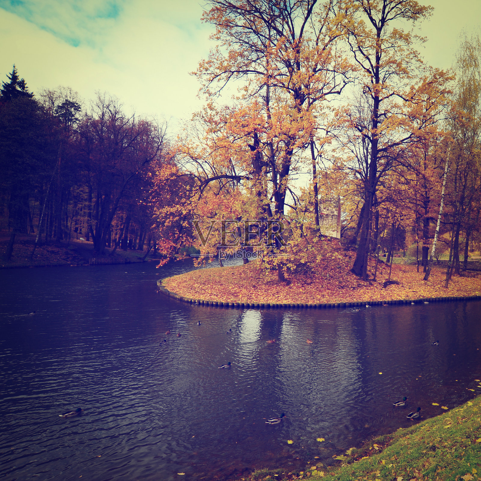 运河照片摄影图片